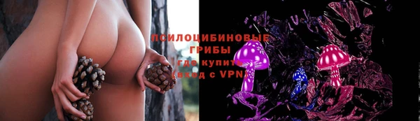 стафф Волосово