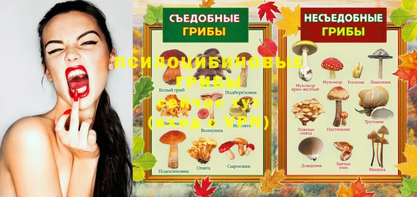 spice Волоколамск