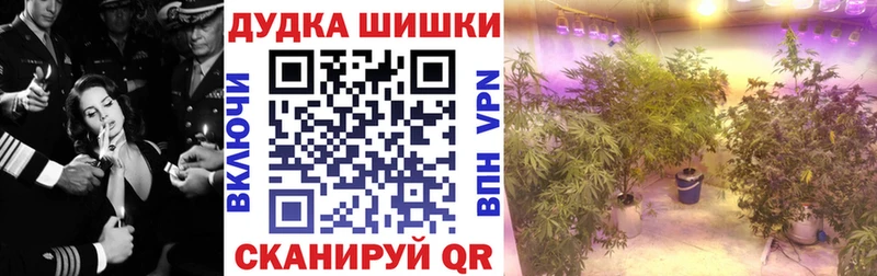 Бошки марихуана сатива  Кисловодск 
